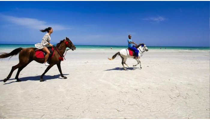 Hotel Djerba Plaza Thalasso & Spa poza 24