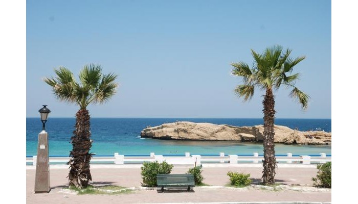 Hotel Delphin Le Ribat poza 4