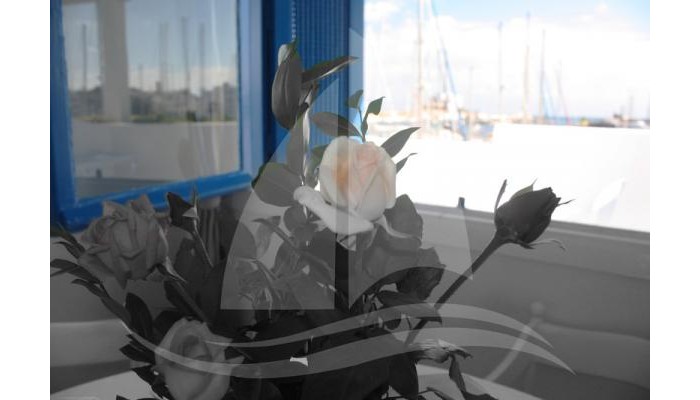 Marina Cap Monastir Appart Hotel poza 7
