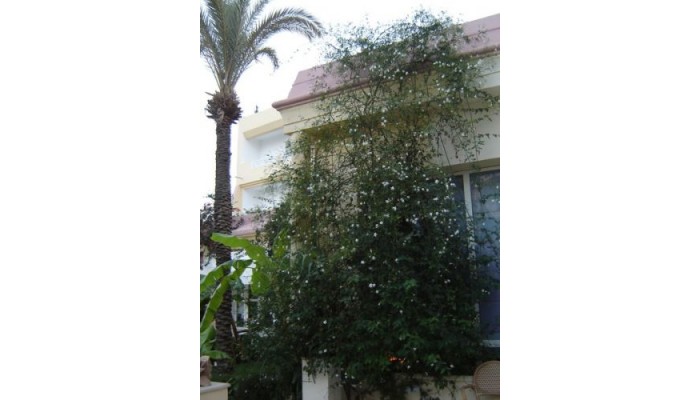 Hotel Hammamet Azur Plaza poza 8