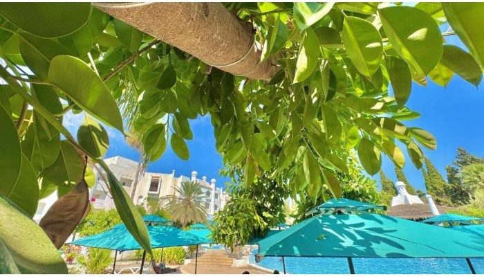 Hammamet Garden Resort & Spa poza 28