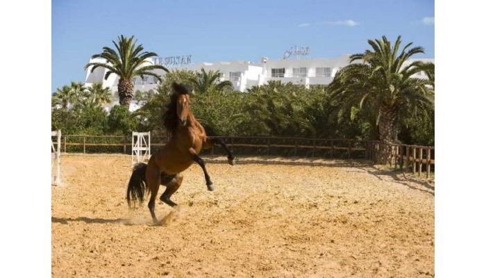 Hotel Le Sultan poza 4