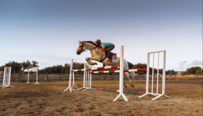 Poza pentru Hotel Sentido Phenicia 219-1483906870 Hotel Sentido Phenicia poza 5