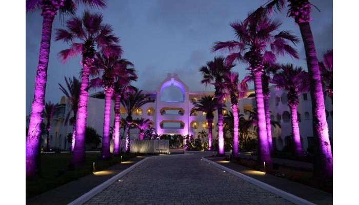 The Mirage Resort & Spa poza 0