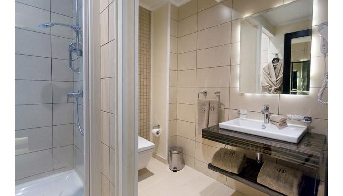 Business Hotel poza 3