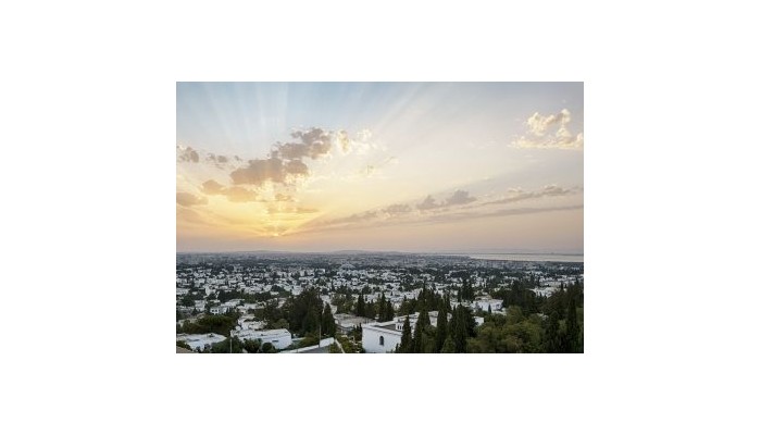 Hotel Sheraton Tunis And Towers poza 10